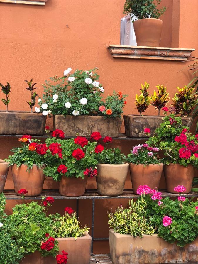 Xacalli Hotel San Miguel de Allende Exterior photo